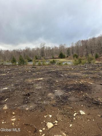 1006 County Highway 119 Ephratah NY 13452