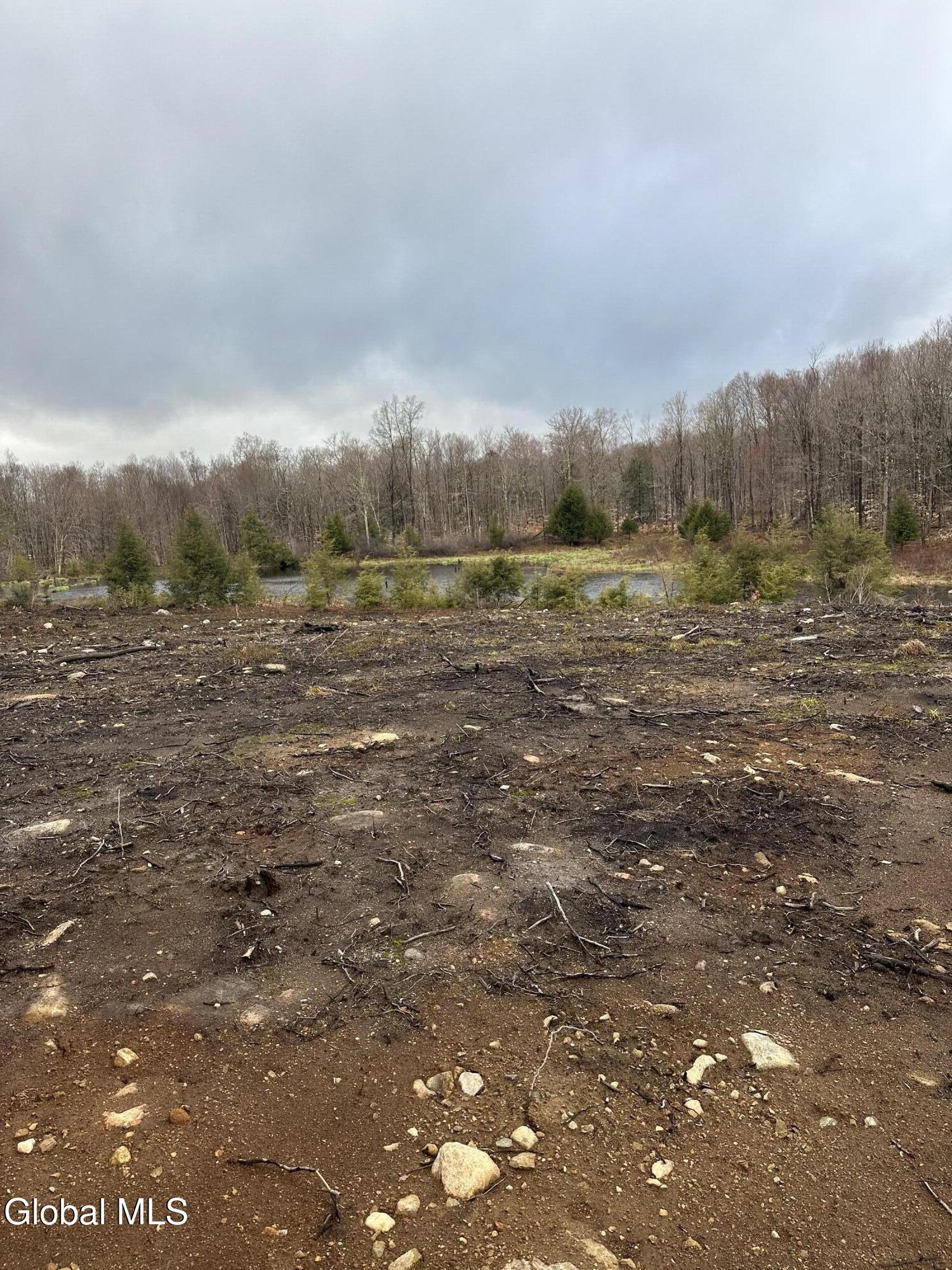 1006 County Highway 119 Ephratah NY 13452