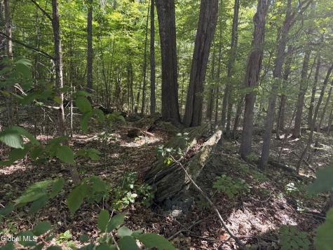 L3.111 Esperance Road Esperance NY 12066
