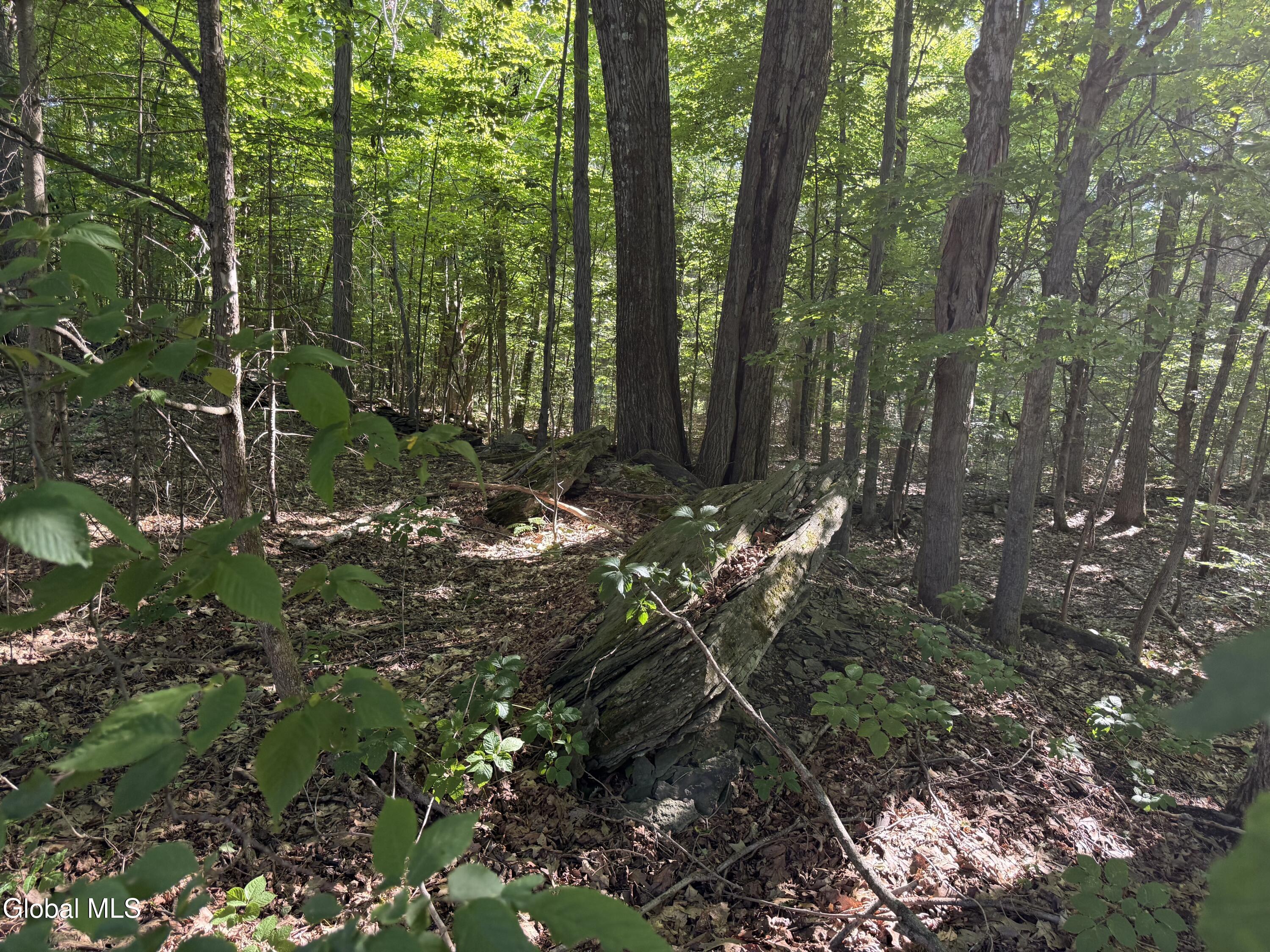 L3.111 Esperance Road Esperance NY 12066