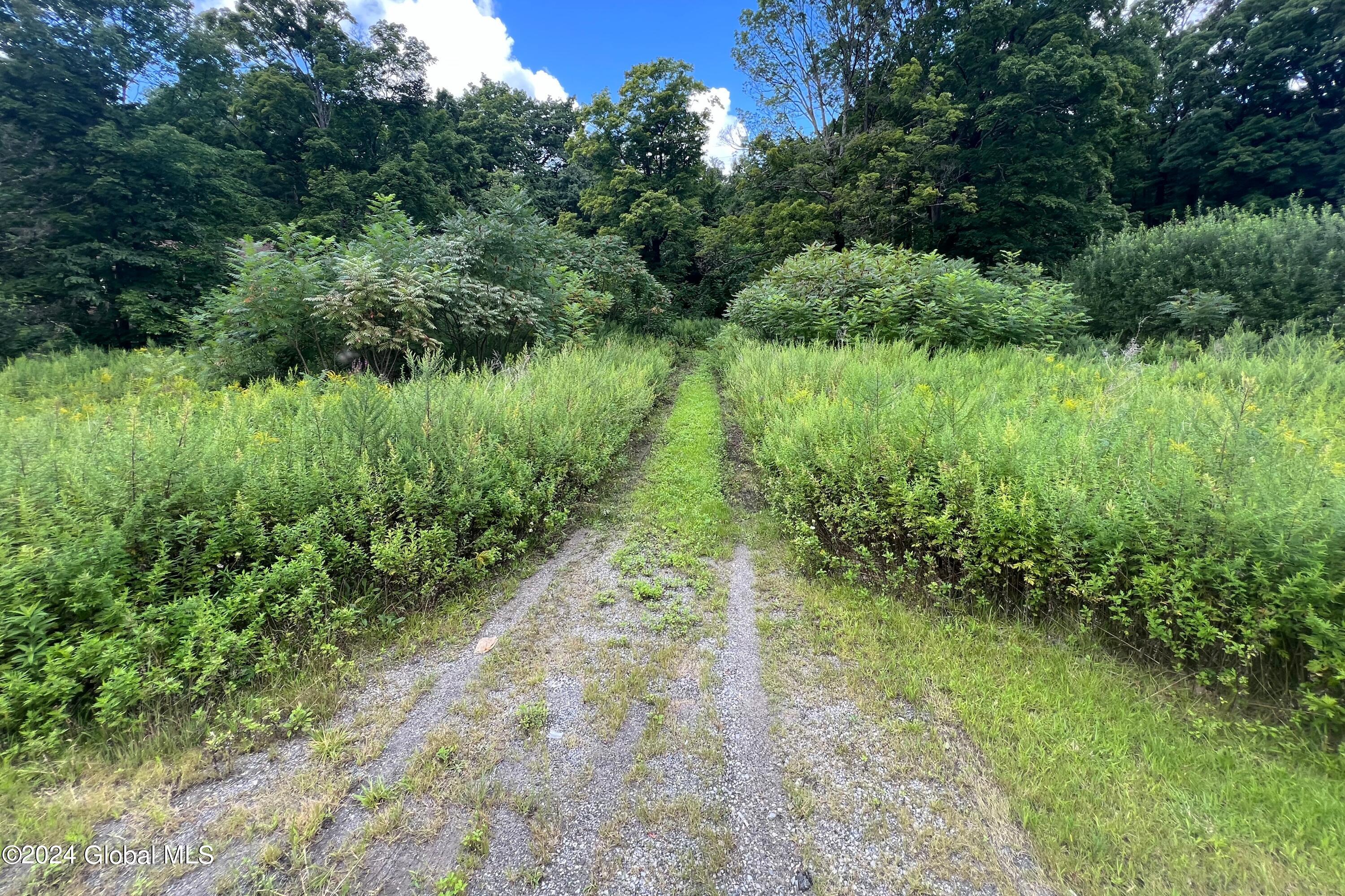 25 Daniels Road Saratoga Springs NY 12866