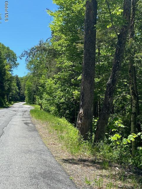 55 Fodder Road Stony Creek NY 12878
