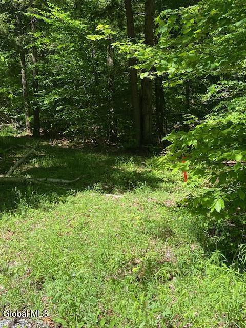 55 Fodder Road Stony Creek NY 12878