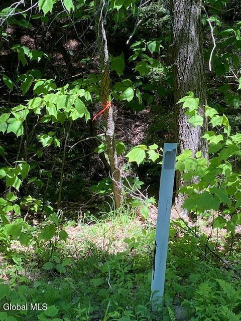 55 Fodder Road Stony Creek NY 12878