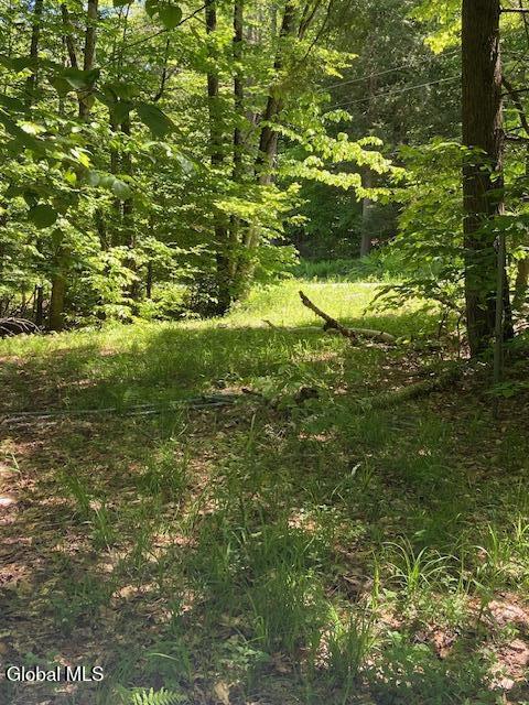 55 Fodder Road Stony Creek NY 12878