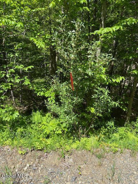 55 Fodder Road Stony Creek NY 12878