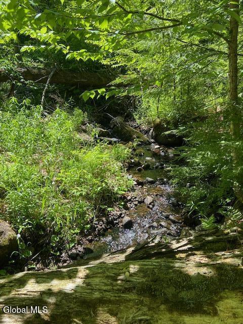 55 Fodder Road Stony Creek NY 12878