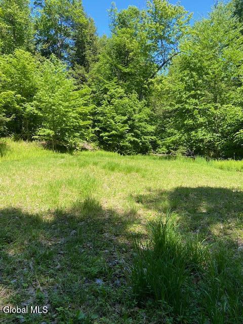 55 Fodder Road Stony Creek NY 12878