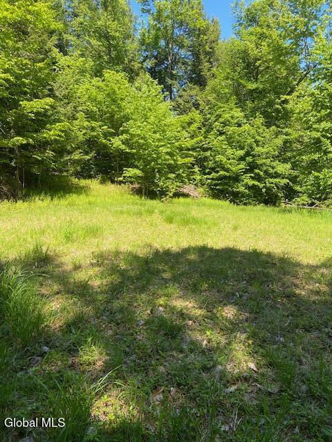 55 Fodder Road Stony Creek NY 12878