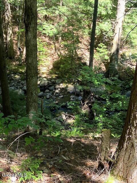 55 Fodder Road Stony Creek NY 12878