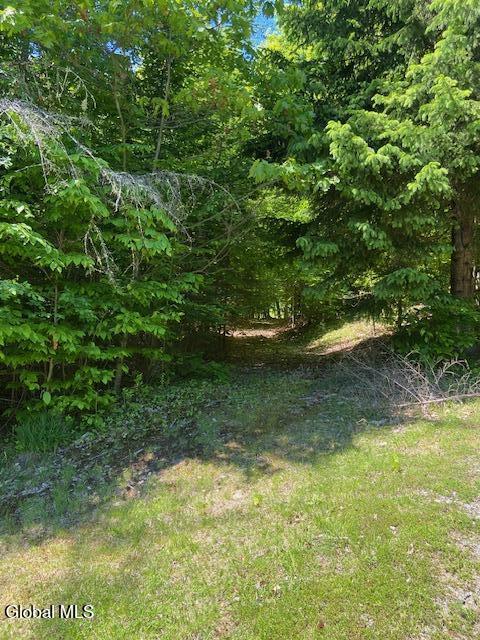 55 Fodder Road Stony Creek NY 12878