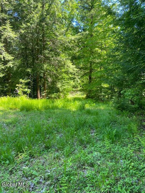 55 Fodder Road Stony Creek NY 12878