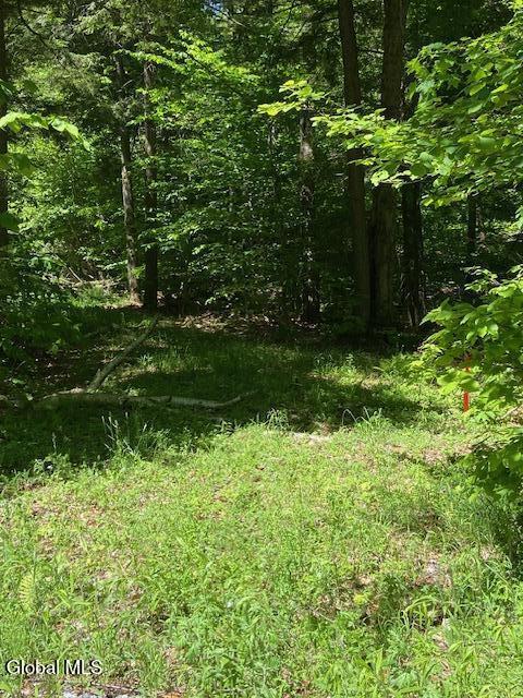 55 Fodder Road Stony Creek NY 12878