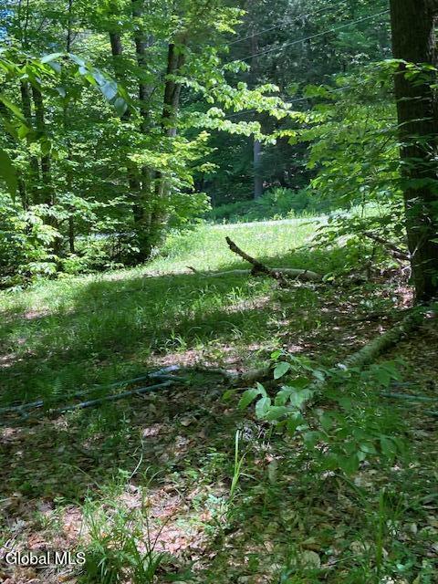 55 Fodder Road Stony Creek NY 12878