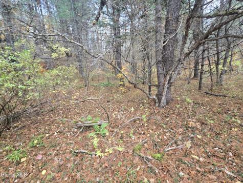 359 Creek Road Northville NY 12134