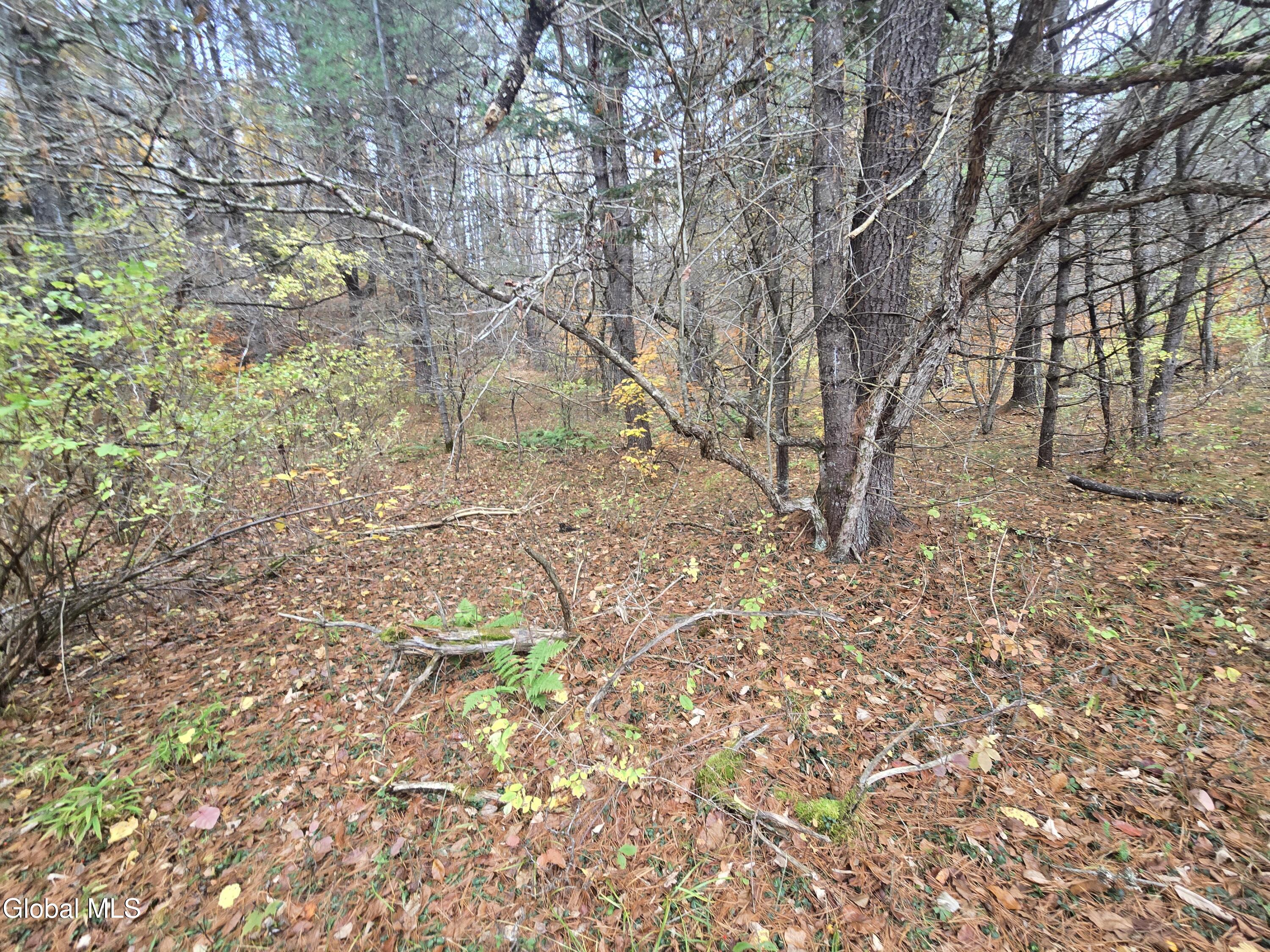 359 Creek Road Northville NY 12134