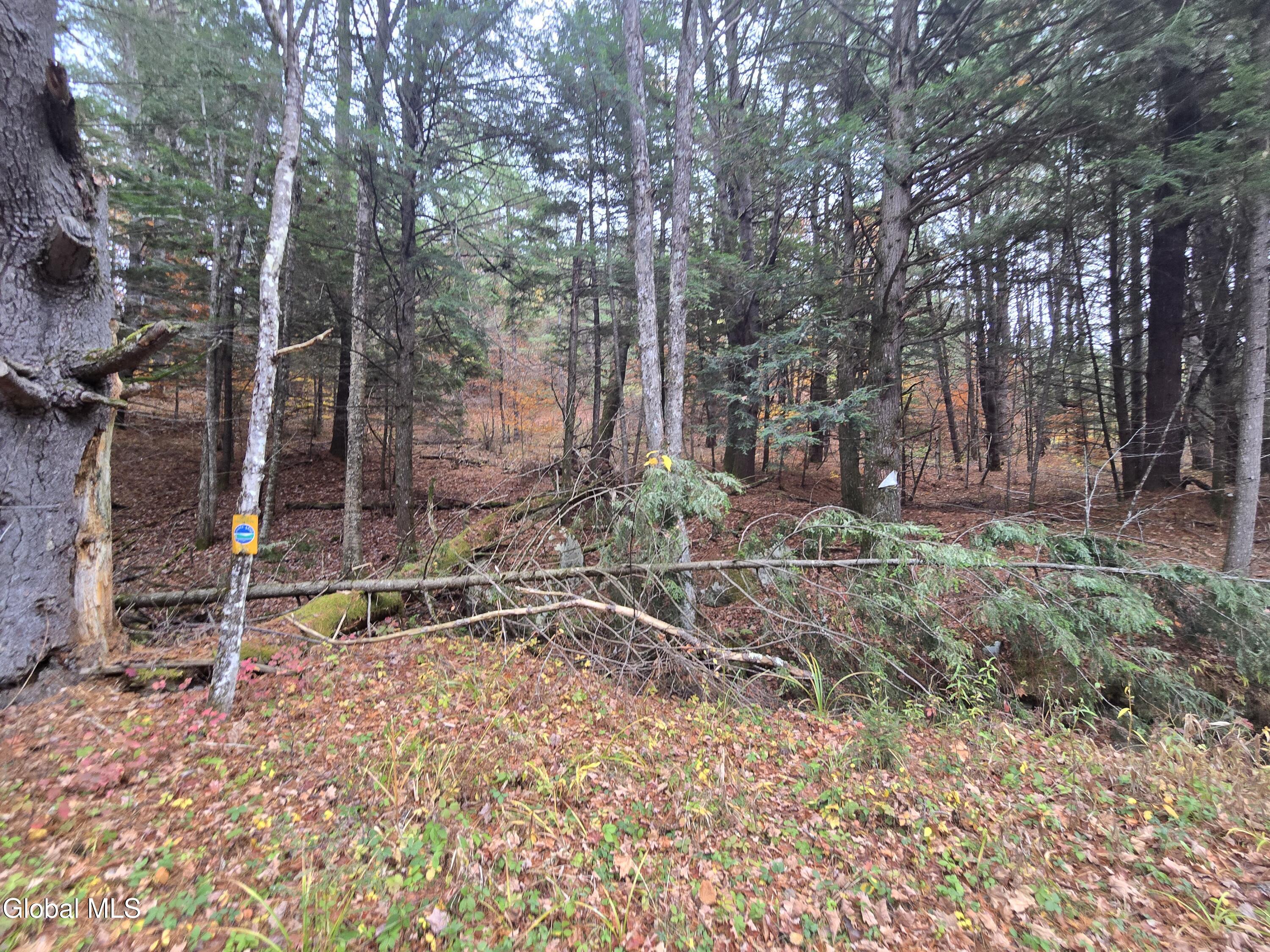 359 Creek Road Northville NY 12134