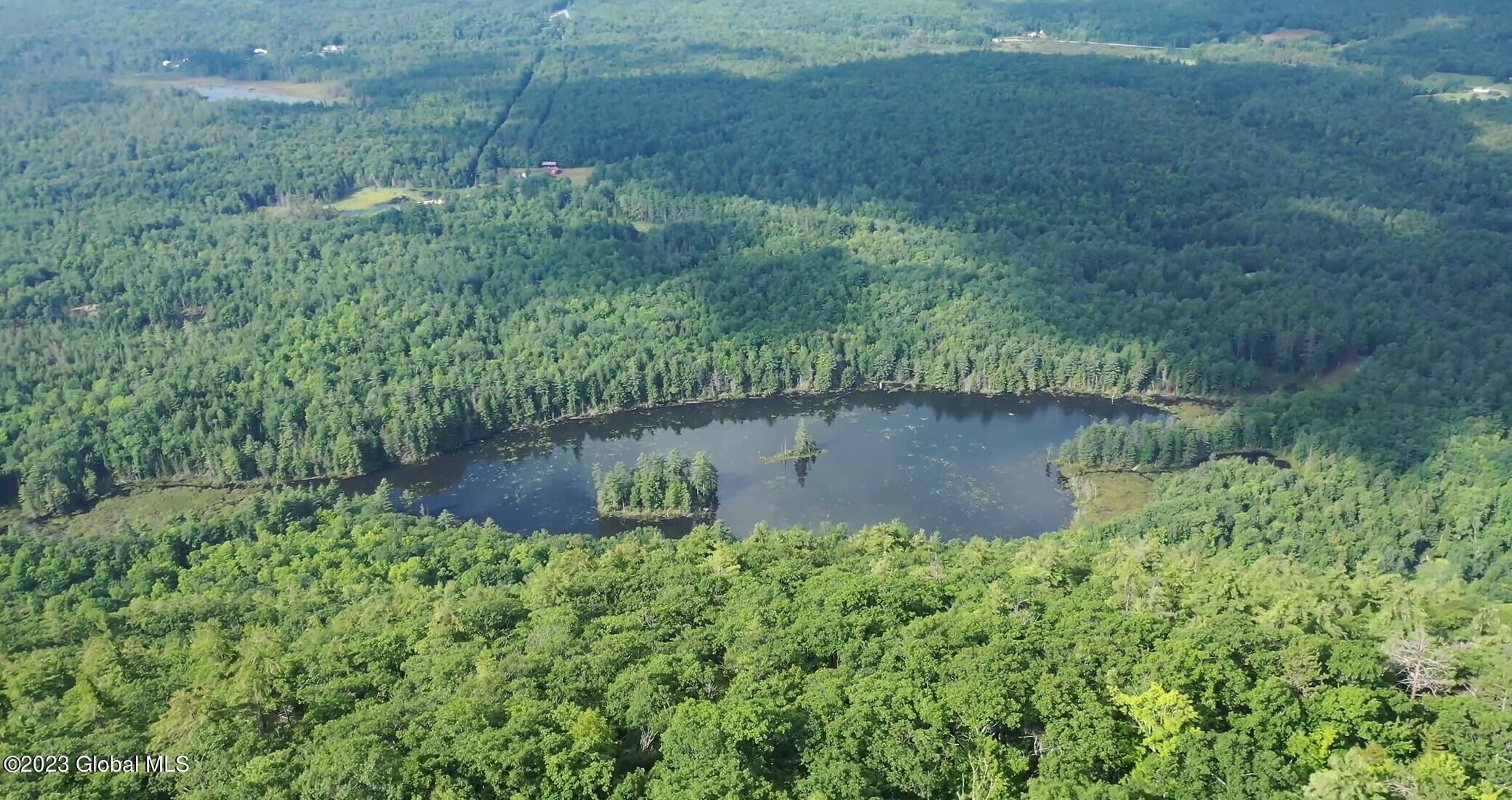 53 Mountain Path North Creek NY 12853