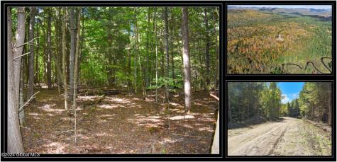 112 Carriage Knoll Road Chestertown NY 12817