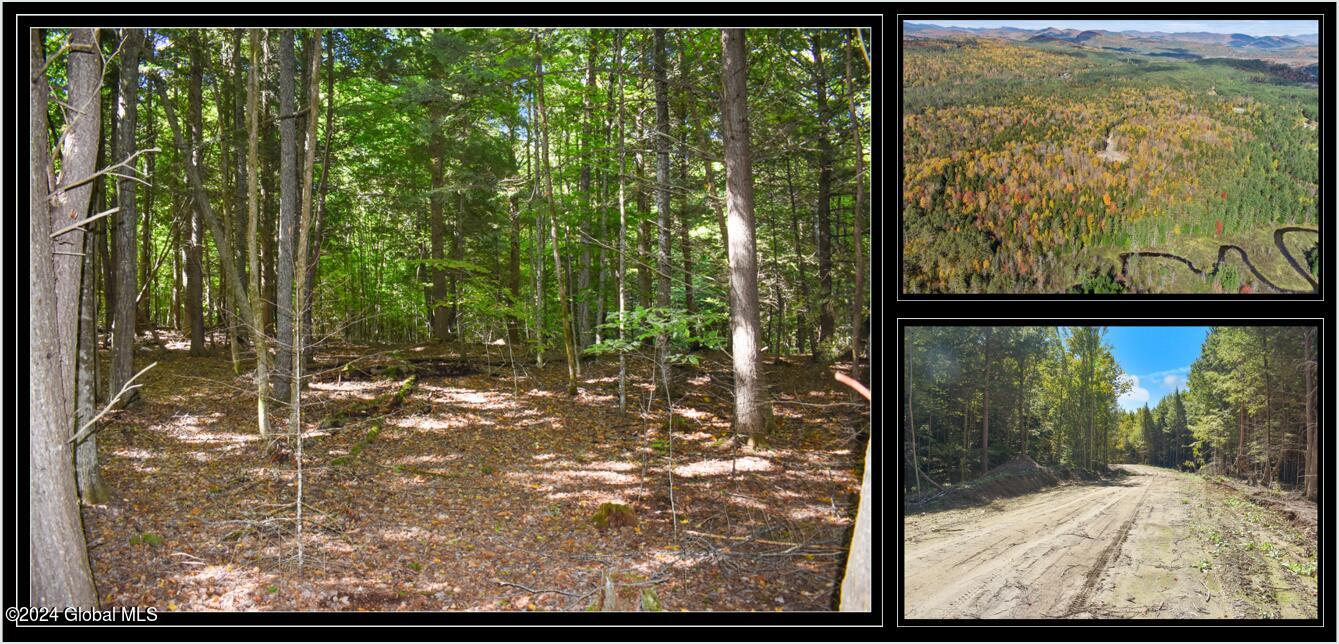 112 Carriage Knoll Road Chestertown NY 12817