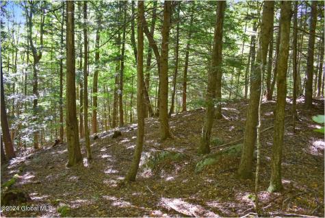 112 Carriage Knoll Road Chestertown NY 12817