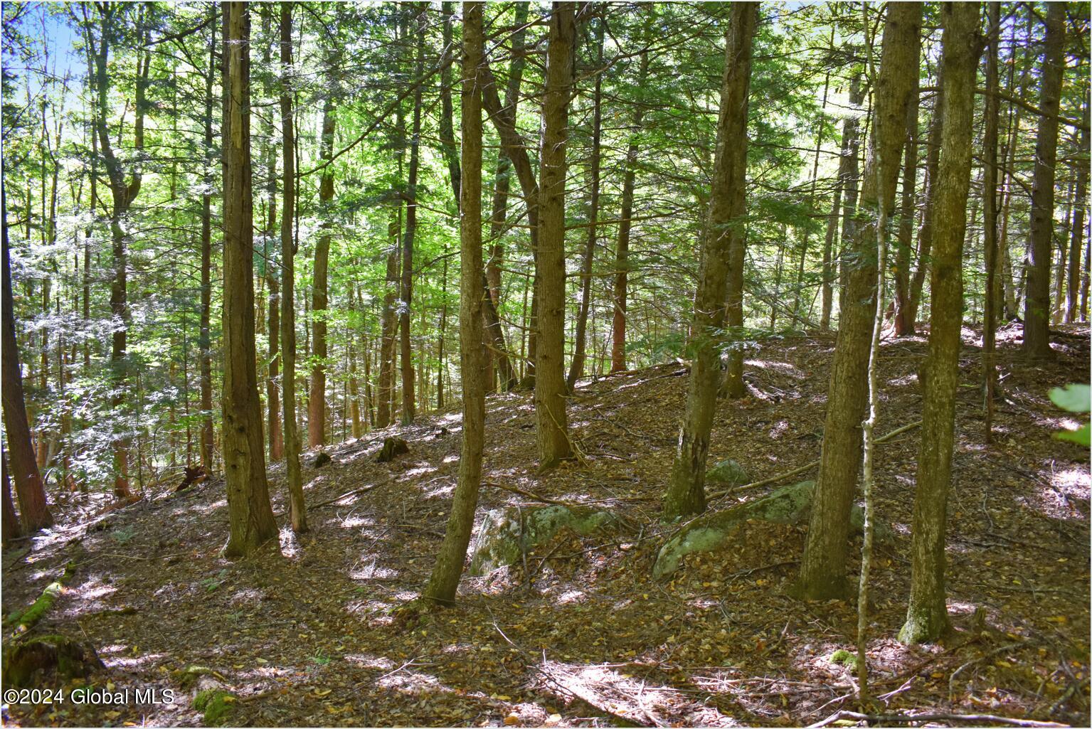 112 Carriage Knoll Road Chestertown NY 12817