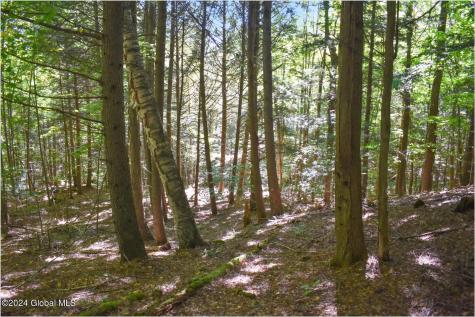 112 Carriage Knoll Road Chestertown NY 12817