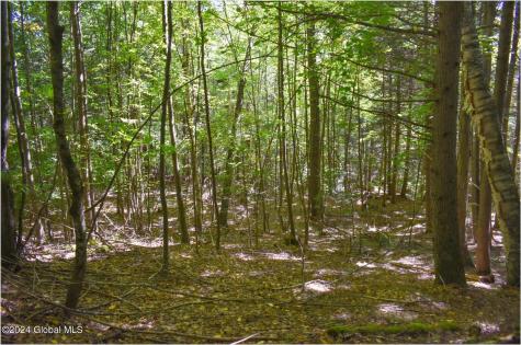 112 Carriage Knoll Road Chestertown NY 12817