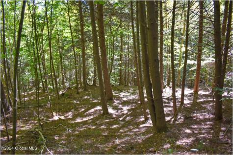 112 Carriage Knoll Road Chestertown NY 12817