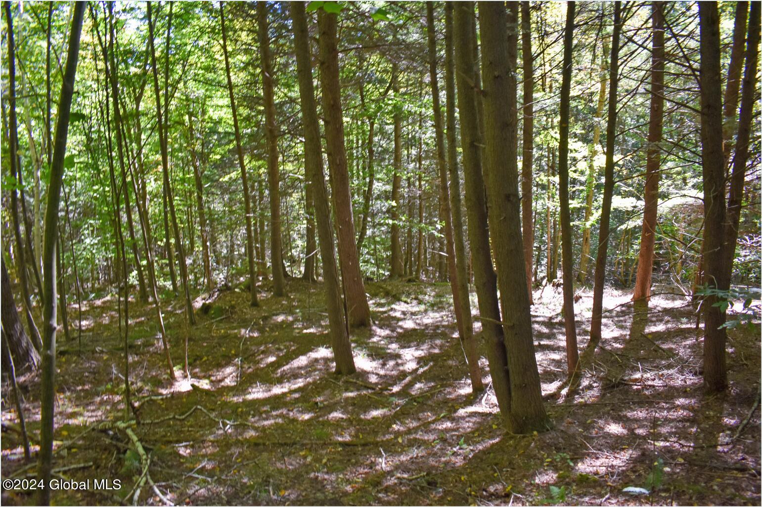 112 Carriage Knoll Road Chestertown NY 12817