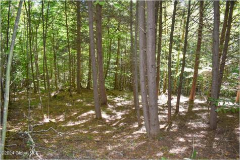 112 Carriage Knoll Road Chestertown NY 12817