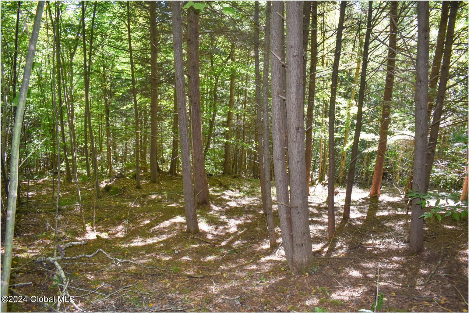 112 Carriage Knoll Road Chestertown NY 12817