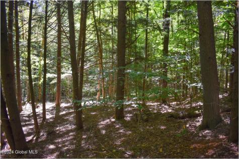 112 Carriage Knoll Road Chestertown NY 12817