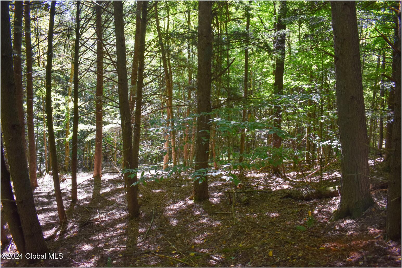 112 Carriage Knoll Road Chestertown NY 12817