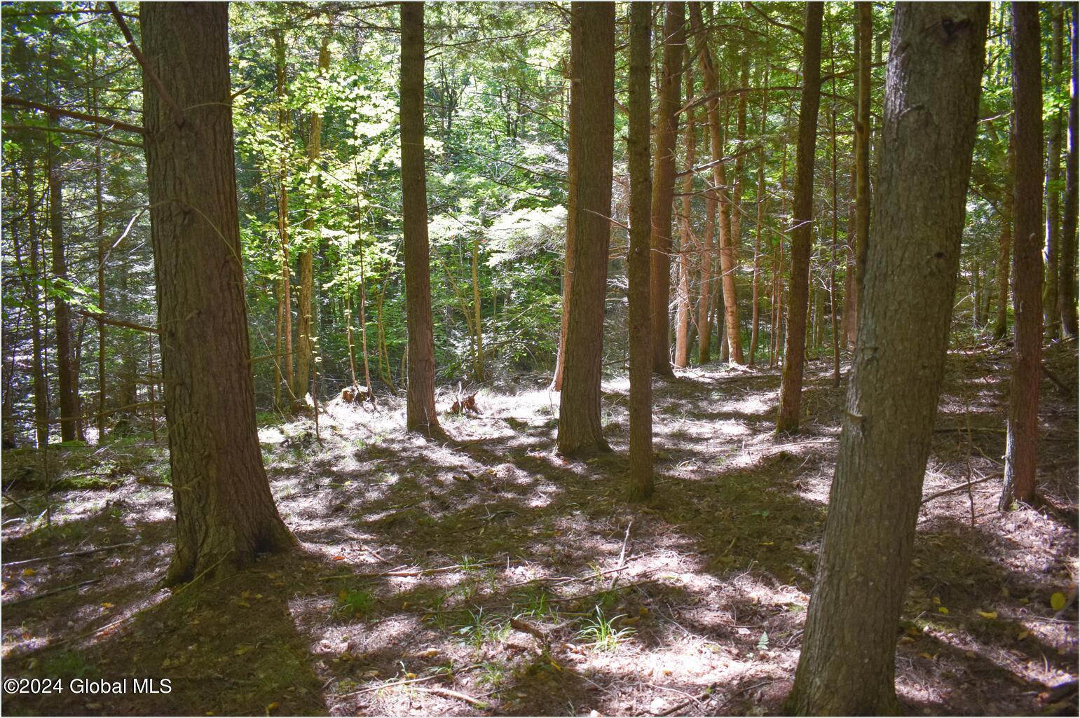 112 Carriage Knoll Road Chestertown NY 12817