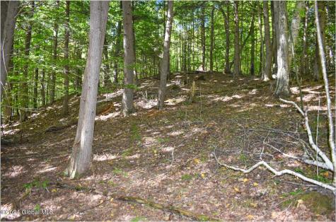 112 Carriage Knoll Road Chestertown NY 12817