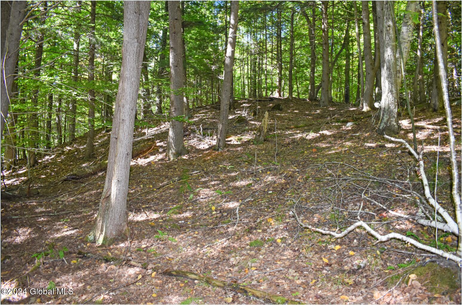 112 Carriage Knoll Road Chestertown NY 12817