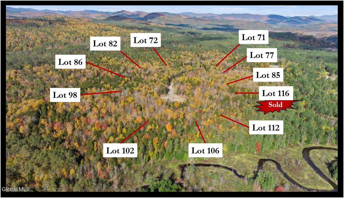 112 Carriage Knoll Road Chestertown NY 12817