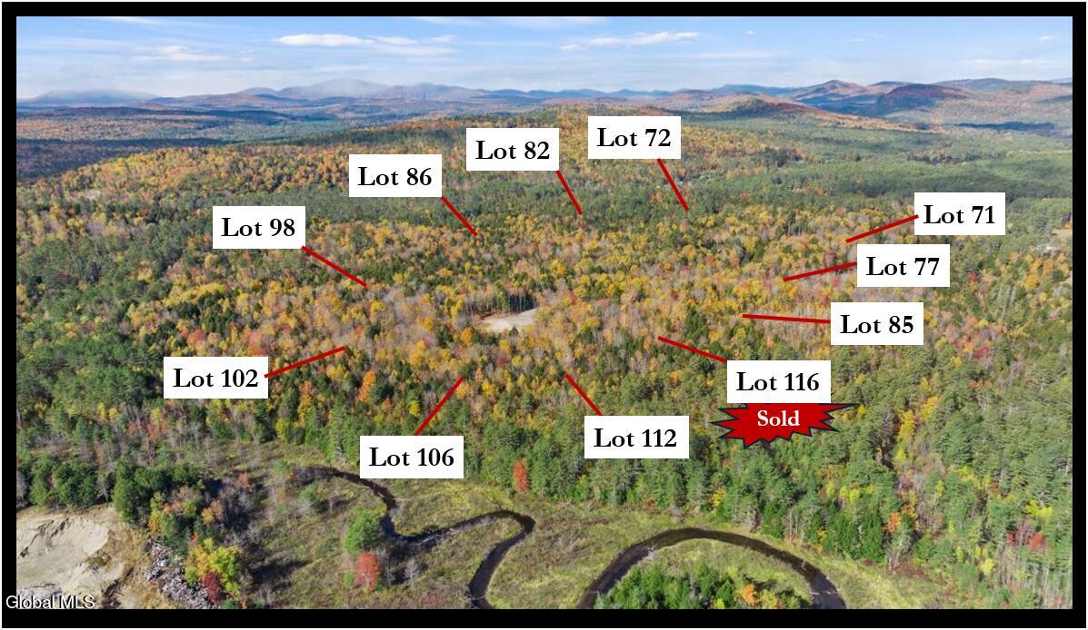 112 Carriage Knoll Road Chestertown NY 12817