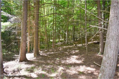 112 Carriage Knoll Road Chestertown NY 12817