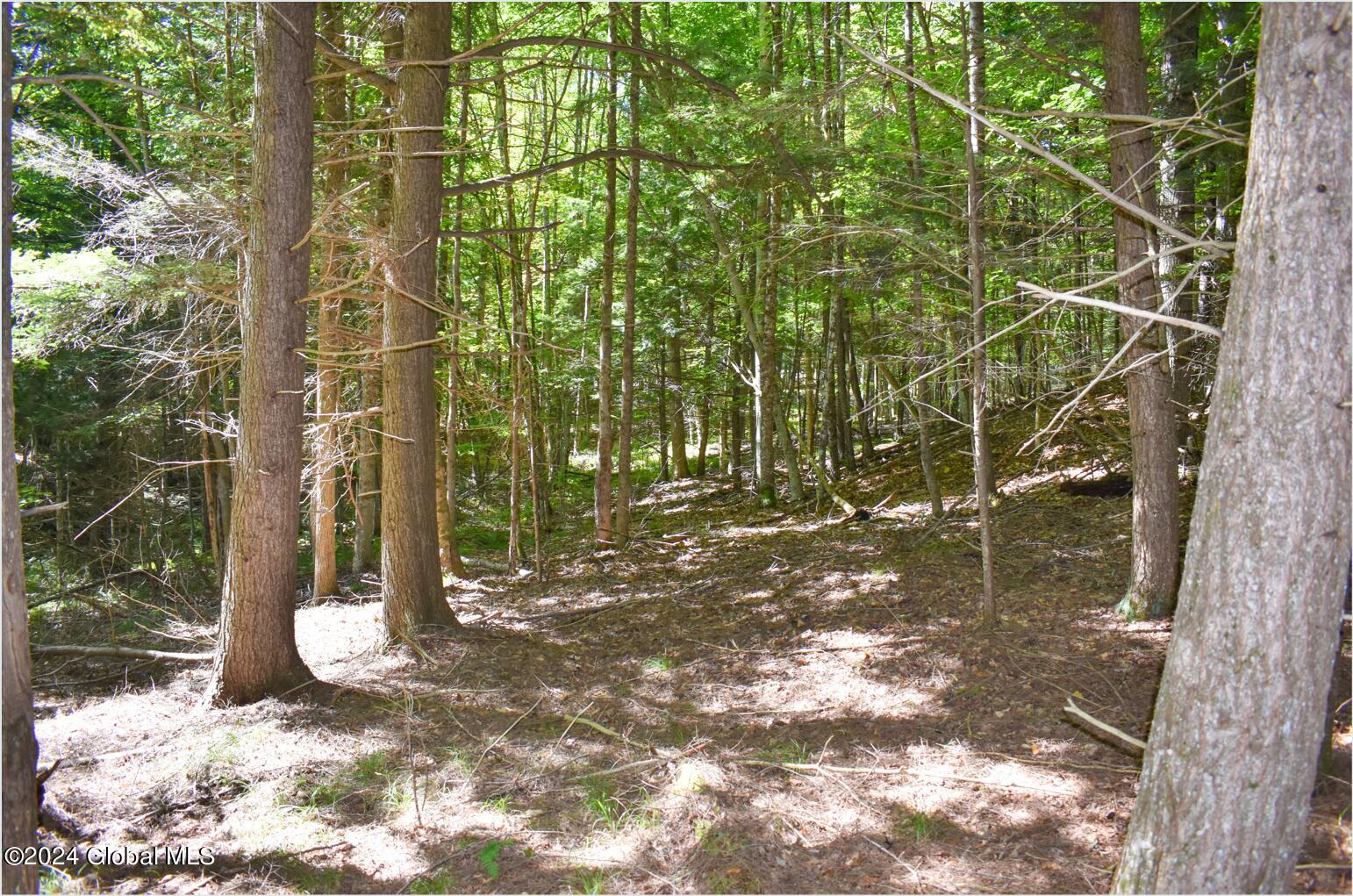 112 Carriage Knoll Road Chestertown NY 12817
