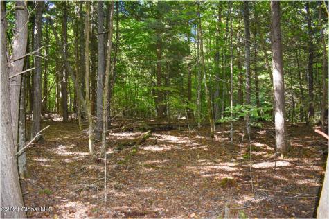 112 Carriage Knoll Road Chestertown NY 12817