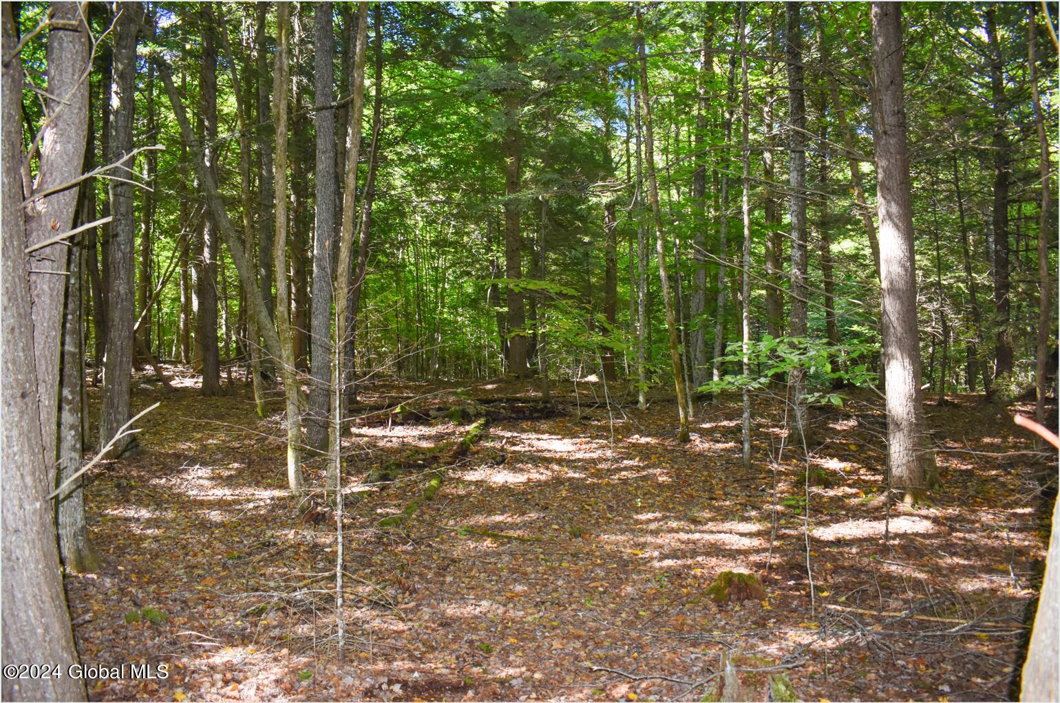 112 Carriage Knoll Road Chestertown NY 12817