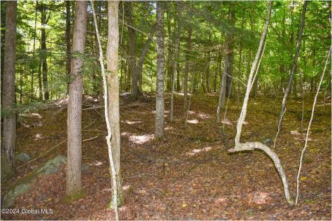 112 Carriage Knoll Road Chestertown NY 12817