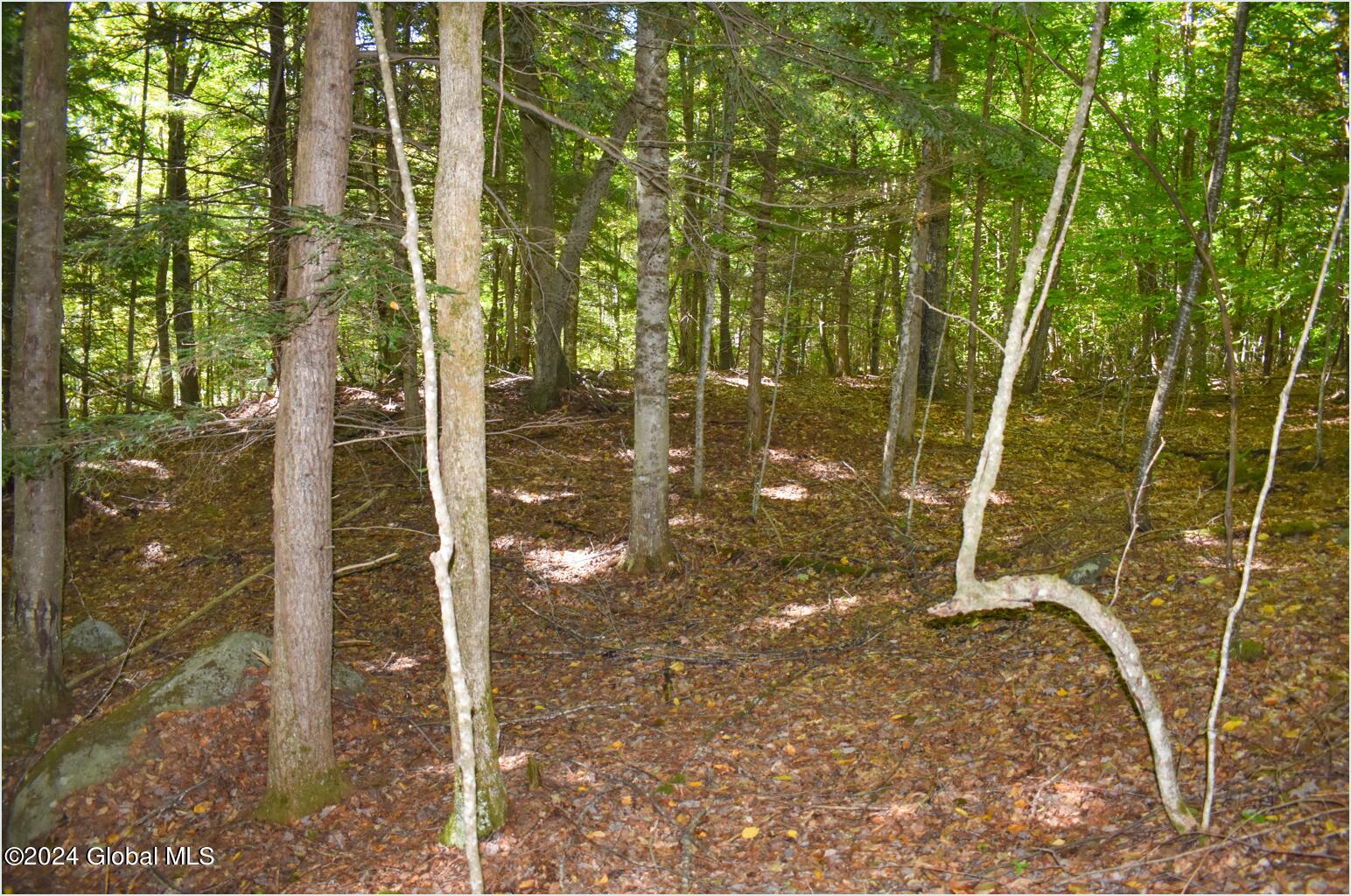 112 Carriage Knoll Road Chestertown NY 12817