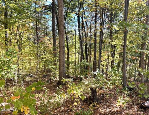 32 Schermerhorn Drive Lake George NY 12845
