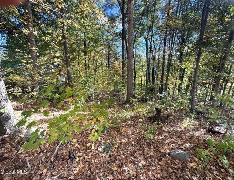 32 Schermerhorn Drive Lake George NY 12845