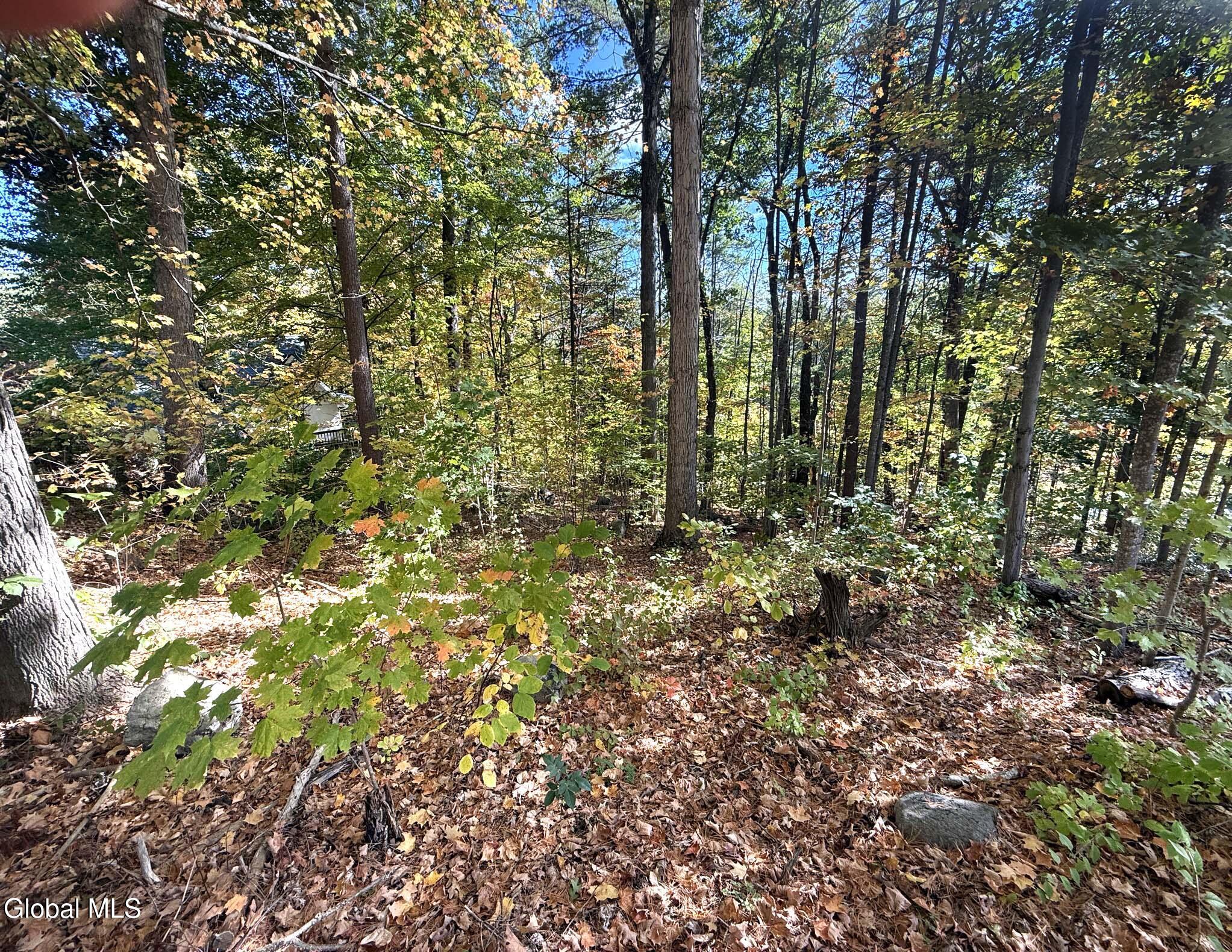 32 Schermerhorn Drive Lake George NY 12845