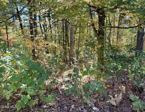 32 Schermerhorn Drive Lake George NY 12845
