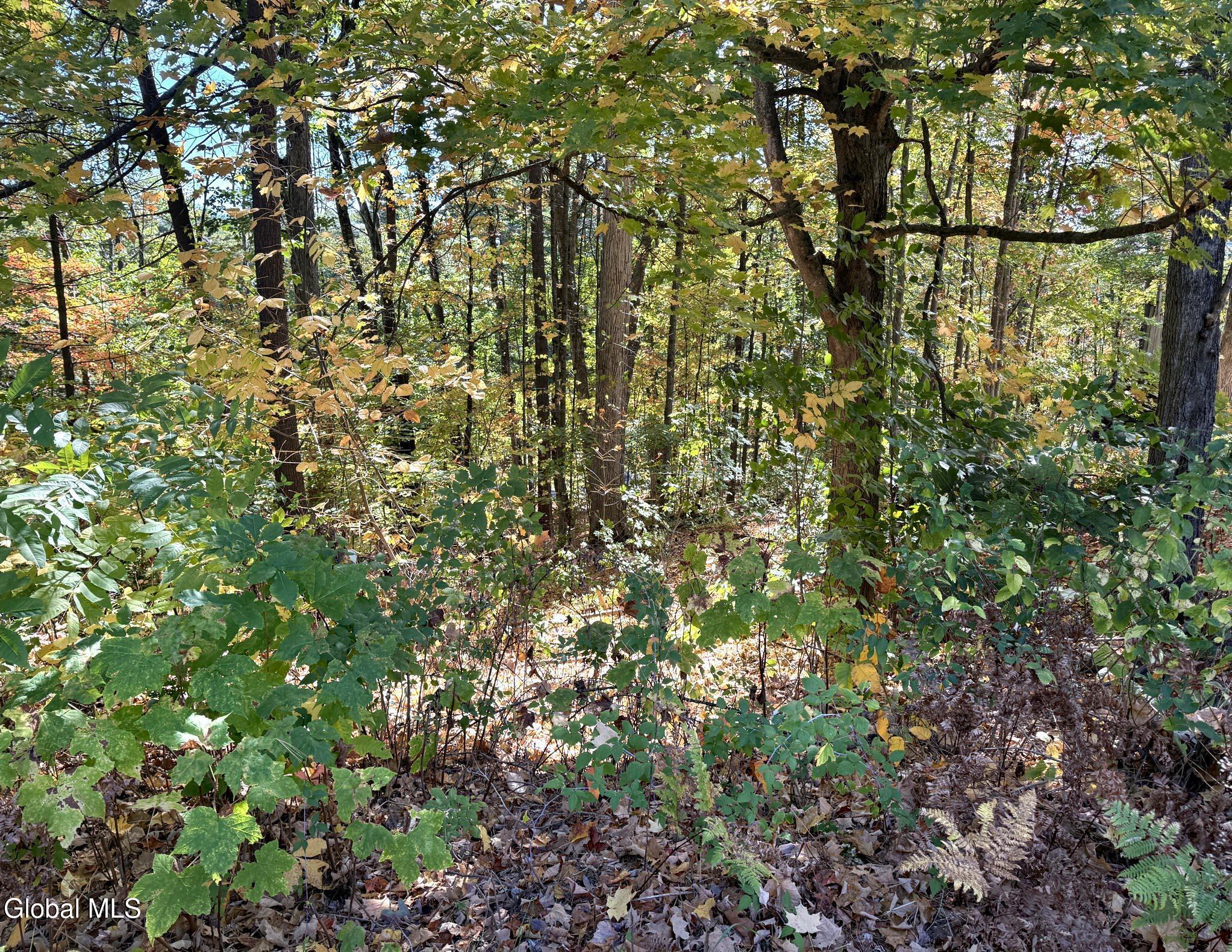 32 Schermerhorn Drive Lake George NY 12845